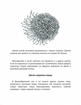 Тристан Гули: Компас внутри. Как не заблудиться в лесу, выследить животных, предсказать погоду