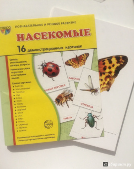 Цветкова, Шорыгина: Демонстрационные картинки "Насекомые" (16 картинок)