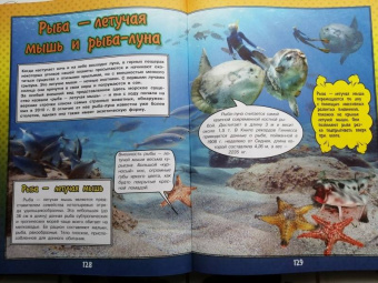 Ликсо, Кошевар: О подводном мире