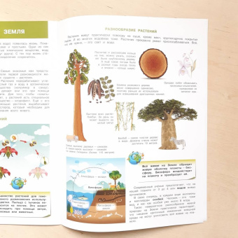 Вениамин Шехтман: Планета Земля