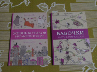 Кристофер Шоу: Жизнь котиков в большом городе