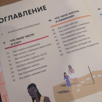 Дэвис, Мубин: Зачем нужна математика?