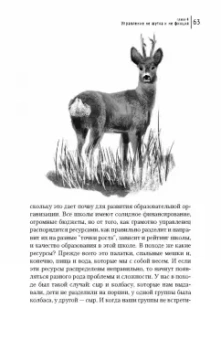 Матвей Шпаро: #директорВпоход. Учебное пособие для современных директоров