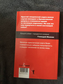 Джорджи Кроули: Корги по имени Генри