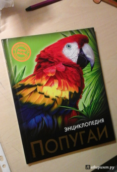 Ярослава Соколова: Попугаи