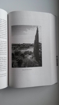 Патти Смит: Преданность. Год обезьяны