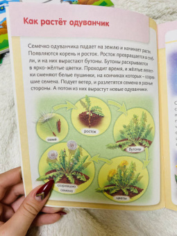 Марина Султанова: Удивительные превращения. Как живут и развиваются растения