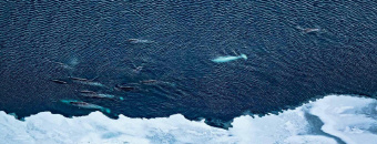 Леонид Круглов: Архипелаги Арктики. Панорам высоких широт