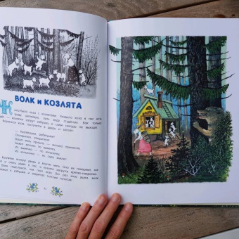 Русские сказки. Рисунки Ю.Васнецова