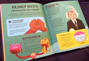 Тим Кеннингтон: Его величество мозг. Все самое интересное о работе мозга людей, животных и роботов