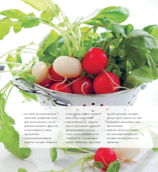 Карлота Маньес: 300 кулинарных техник. Вегетарианская кухня