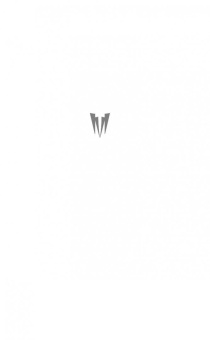 Кем Нанн: Доктор Шанс