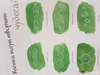 Боэрле, Ланда: Путешествие в мир клетки. Нескучная наука