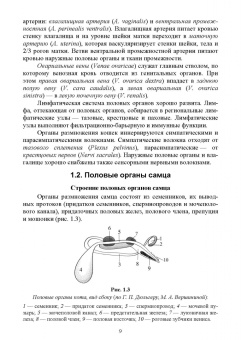 Дюльгер, Дюльгер, Седлецкая: Акушерство, гинекология и биотехника размножения кошек. Учебное пособие для вузов