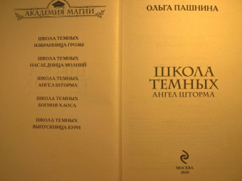 Ольга Пашнина: Школа темных. Ангел шторма