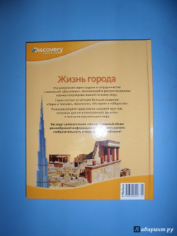 Жизнь города