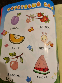 Сад и огород. Книжка с наклейками