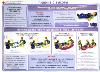 Бубнов, Бубнова: Первая медицинская помощь в чрезвычайных ситуациях (12 плакатов)