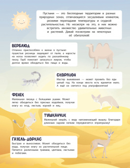 150 наклеек. В пустыне