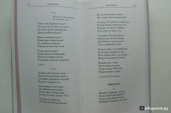 Владимир Шилейко: Пометки на полях. Стихи