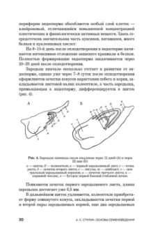 Александр Ступин: Семеноведение. Учебное пособие. СПО
