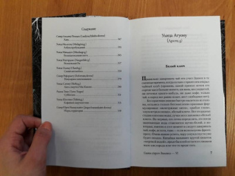 Макс Фрай: Сказки старого Вильнюса VI