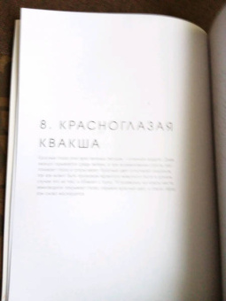 В царстве животных. Рисуем по точкам