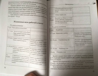 Вадим Тихомиров: Пчеловодство для начинающих. Пошаговое руководство