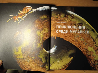Марк Моффетт: Приключения среди муравьев. Путешествие по земному шару с триллионами суперорганизмов