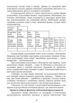 Юрий Загороднев: Племенное дело в животноводстве. Учебное пособие для вузов