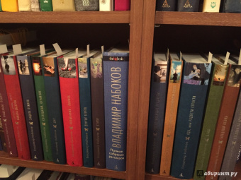 Владимир Набоков: Дар