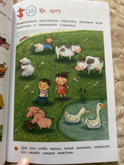Учусь думать. Для детей от 5 лет