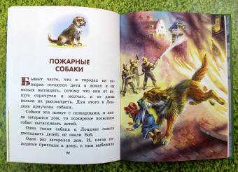 Лев Толстой: Сказки и рассказы