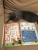 Мой милый котенок Мой милый котенок