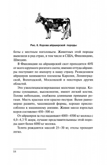 Николай Полянцев: Практикум по содержанию и эффективному использованию молочных коров. Учебное пособие для СПО
