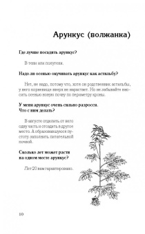 Галина Кизима: Красивый цветник. Ответы на главные вопросы