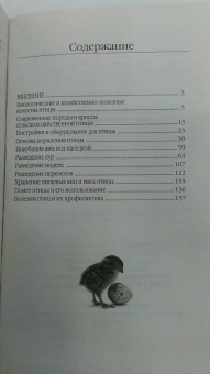 Эдуард Бондарев: Птицеводство для начинающих. Куры, индейки, перепела