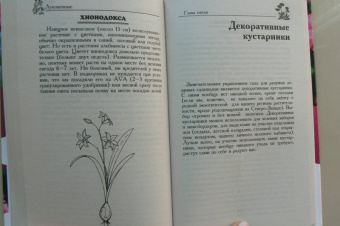 Галина Кизима: Цветник для ленивых. Цветы от последнего снега