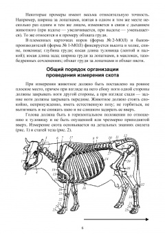 Егор Лебедько: Организация и проведение измерений крупного рогатого скота. Учебное пособие