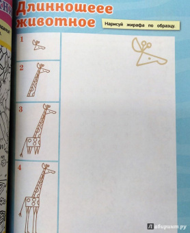 Курс занимательных заданий. Для детей 4-5 лет