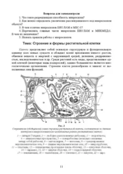 Эржэна Имескенова: Ботаника с основами физиологии растений. СПО