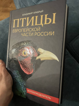 Владимир Храбрый: Птицы Европейской части России. Фотоопределитель