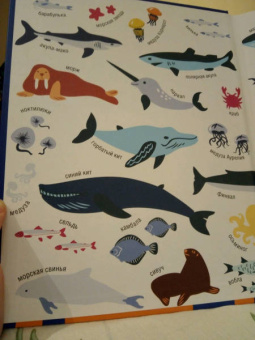 Елизавета Мелентьева: Моря России