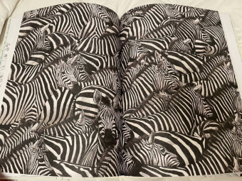 Бен Ротери: Тайны дикой природы