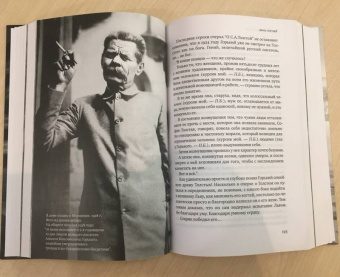 Павел Басинский: Горький:  страсти по Максиму