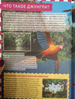 Джунгли. Животные и птицы