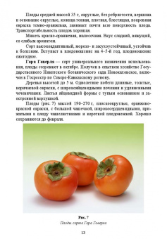 Константин Лактионов: Частное плодоводство. Субтропические культуры. Учебное пособие для СПО