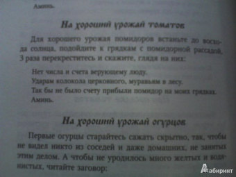 Ангелина Райс: Большая книга заговоров