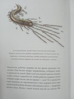 Ричард Докинз: Полеты воображения. Разум и эволюция против гравитации