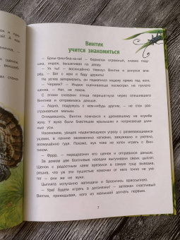 Ирина Гурина: Маленькие сказки про большую умничку